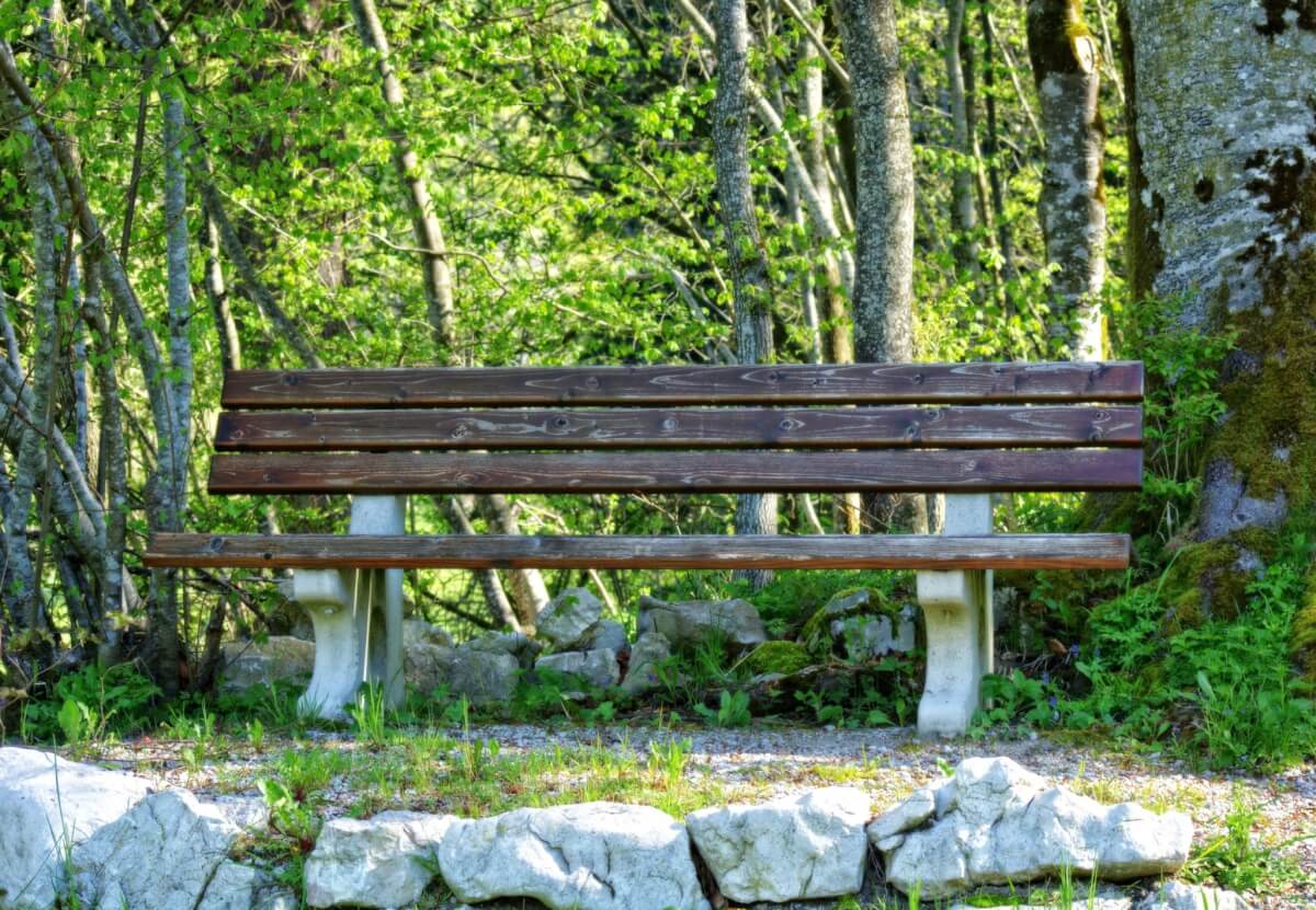 adventure-bench-daylight