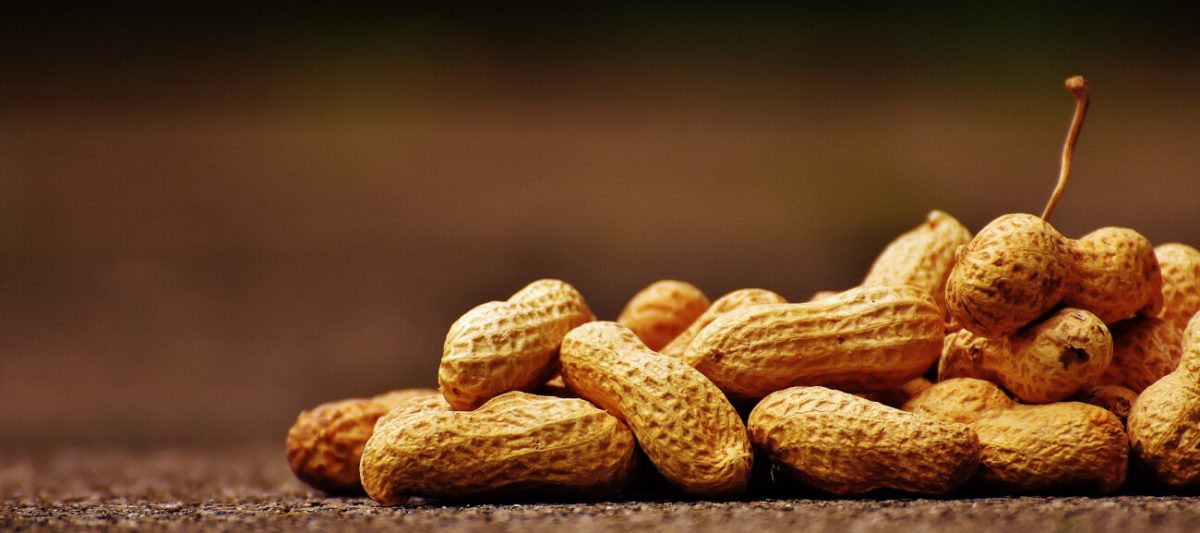 Erdnüsse-Allergie, Erdnussallergie
